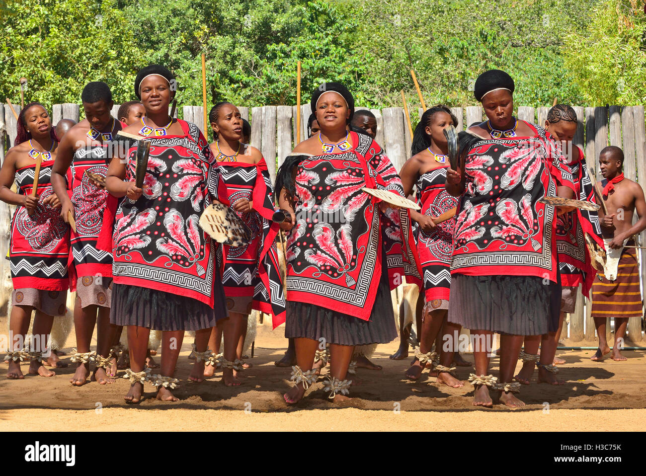 Canto y baile de la tropa tradicional swazi en la aldea cultural de Mantenga Swazi (Ligugu Lemaswati) Valle Ezulwini, Eswatini (anteriormente Swazilandia) Foto de stock