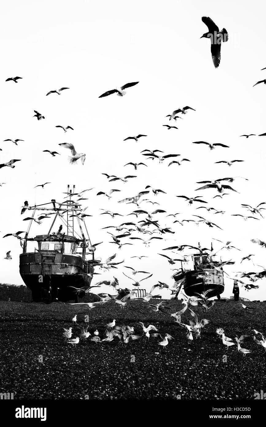Los barcos de pesca y las gaviotas en Hastings. East Sussex. Inglaterra. UK Foto de stock