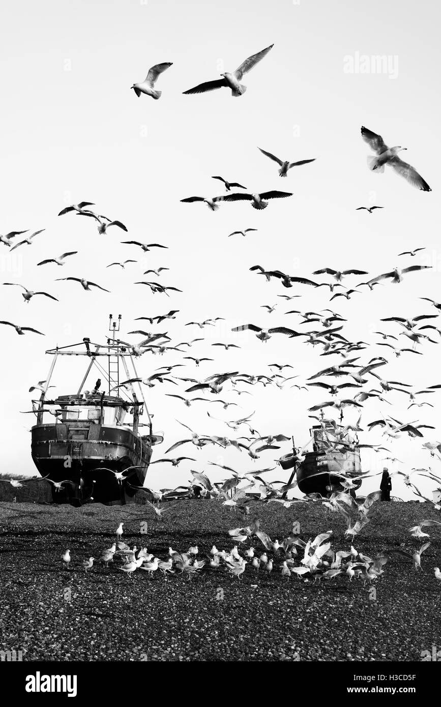 Los barcos de pesca y las gaviotas en Hastings. East Sussex. Inglaterra. UK Foto de stock