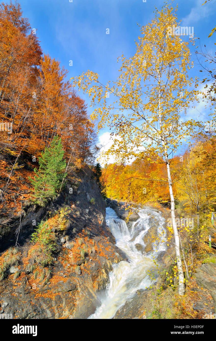 Colores de otoño bosque y pequeño arroyo Foto de stock