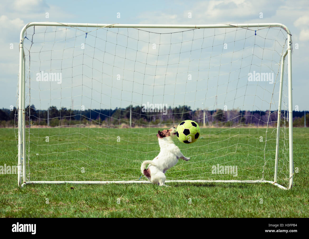 Jugador de fútbol divertido jugando en la pradera a buen día Foto de stock