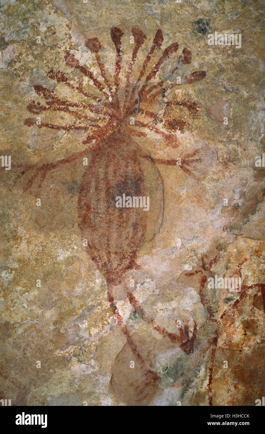 Pintura rupestre aborigen de un peludo yam con atributos humanos o un ser humano con atributos de ñame Foto de stock