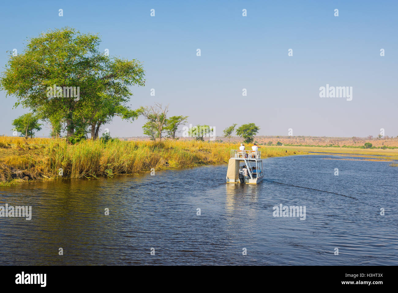 Crucero en barco y la fauna del río Chobe Safari en Bostwana, Namibia, Africa. El Parque Nacional Chobe, famoso wildlilfe reservar un Foto de stock