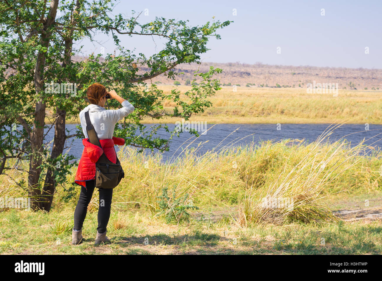 Observar la vida salvaje turística por binocular en río Chobe Bostwana, Namibia, Africa. El Parque Nacional Chobe, famoso wildlilfe volver Foto de stock