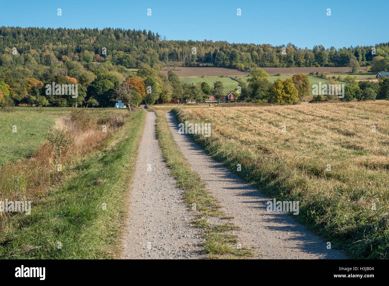 Otoño en la campiña de Vastergotland, Suecia Foto de stock