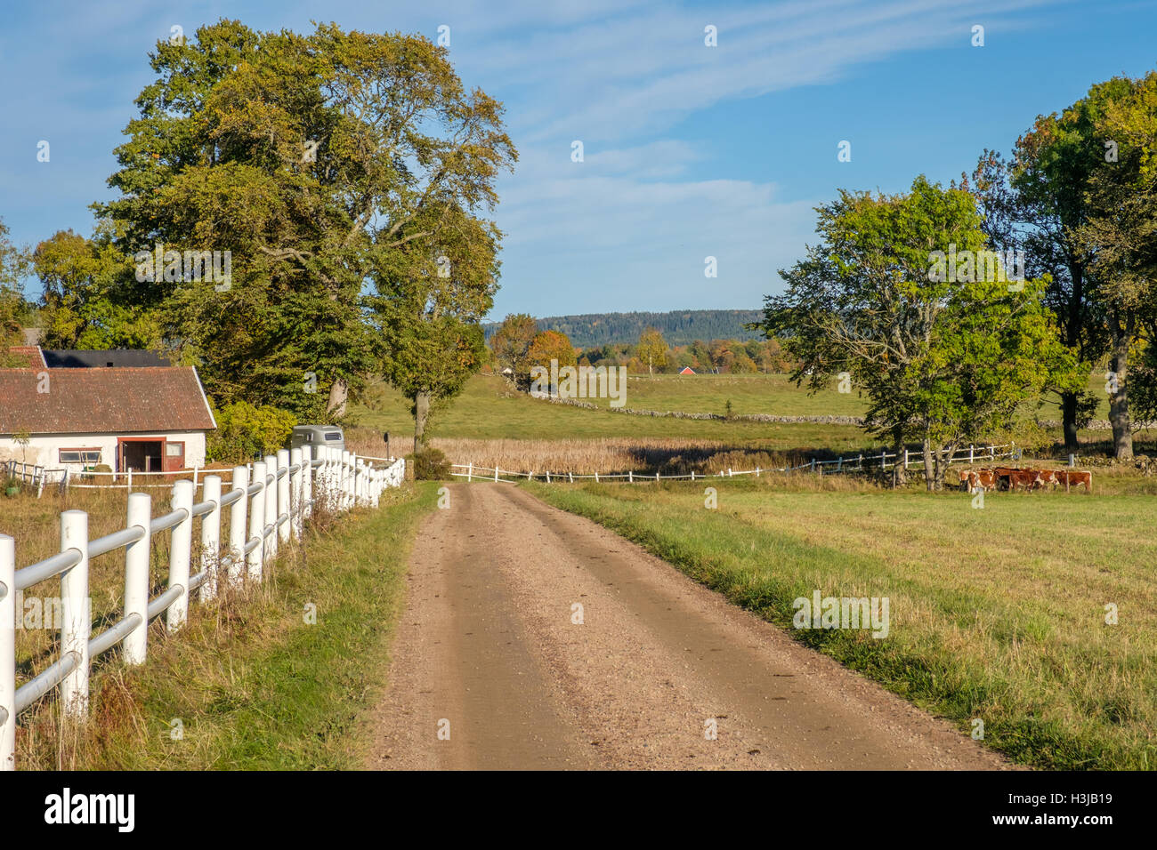 Otoño en la campiña de Vastergotland, Suecia Foto de stock