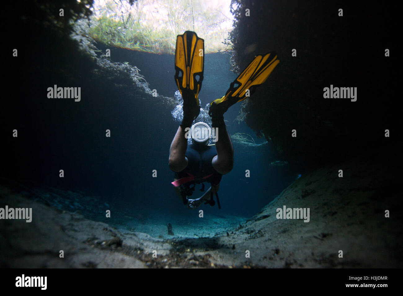 Buceo la cueva submarina en la Media Luna laguna de agua dulce cerca de Río Verde, San Luis Potosí, México. Foto de stock