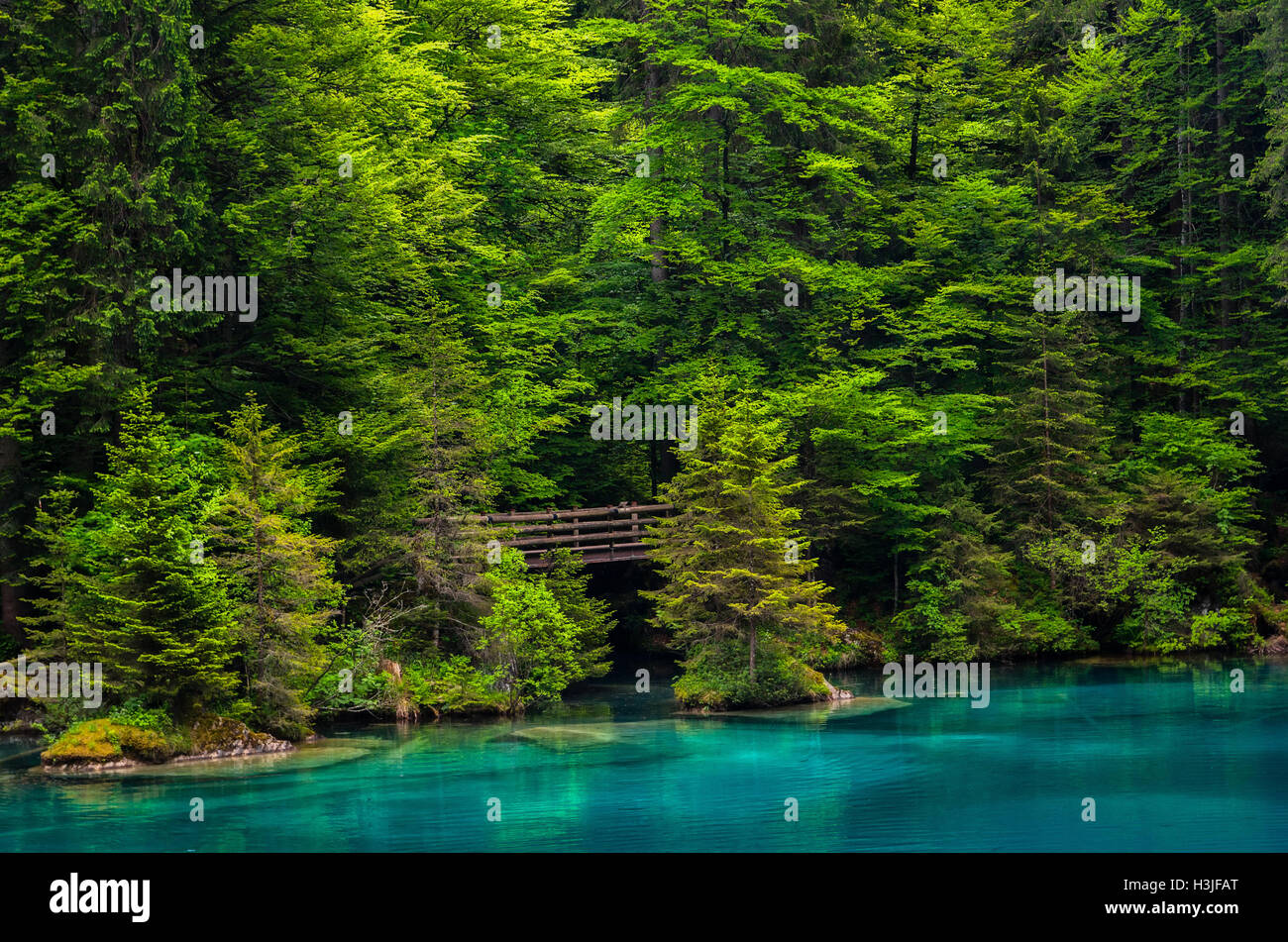 Blausee, lago azul en Forest - Suiza Foto de stock