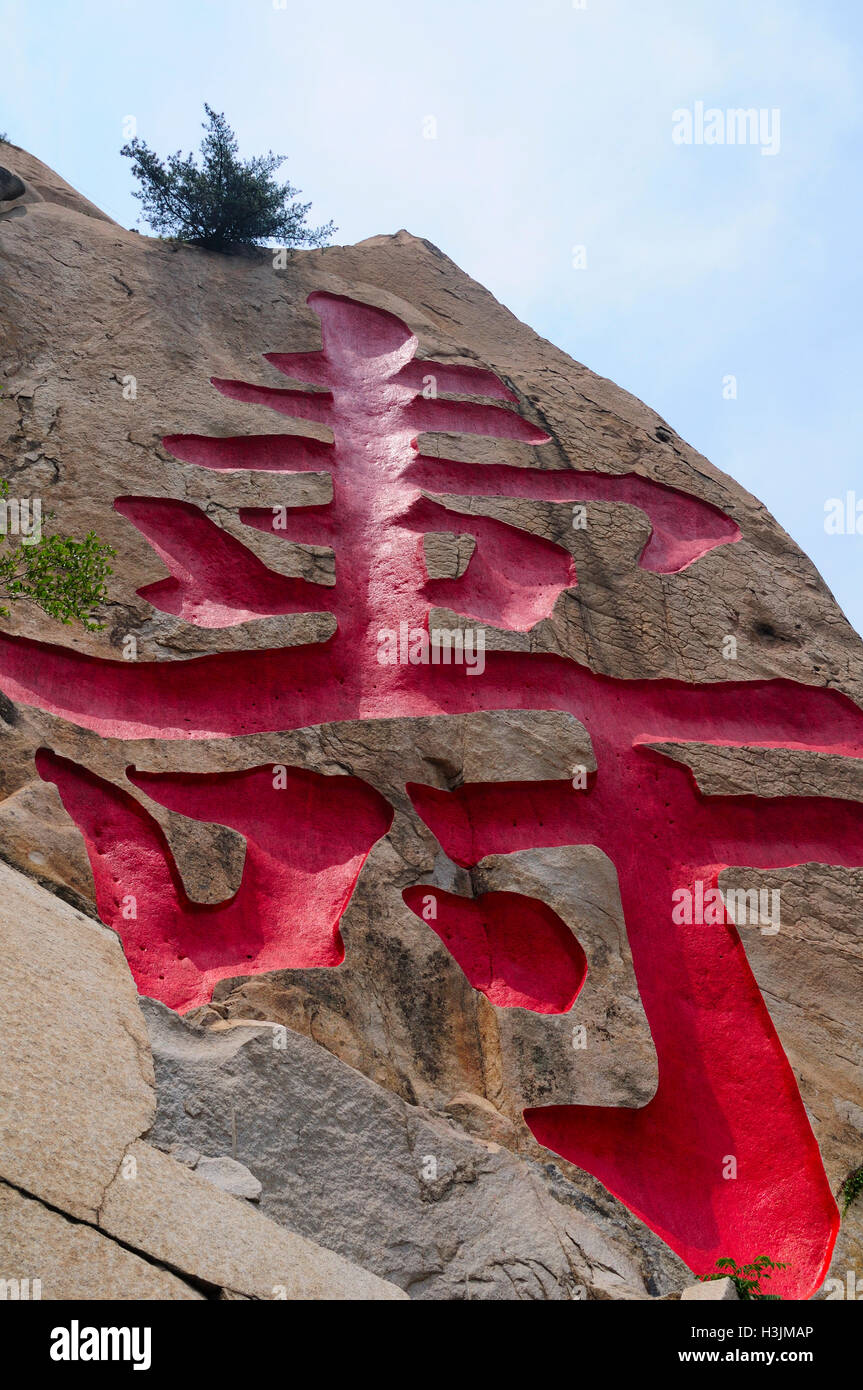 Una gran roca inscrito con el carácter chino Shou el sentido de larga vida, vida larga en el monte Laoshan (Lao) en Qingdao, China. Foto de stock
