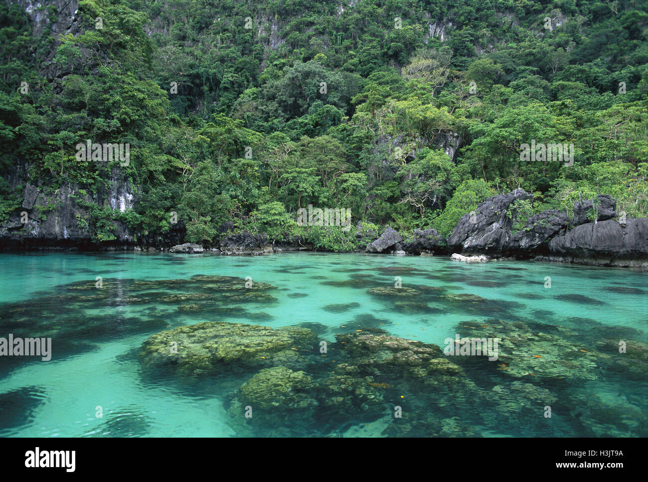 Miniloc island lagoon coral y densamente boscosas de los bancos. Foto de stock
