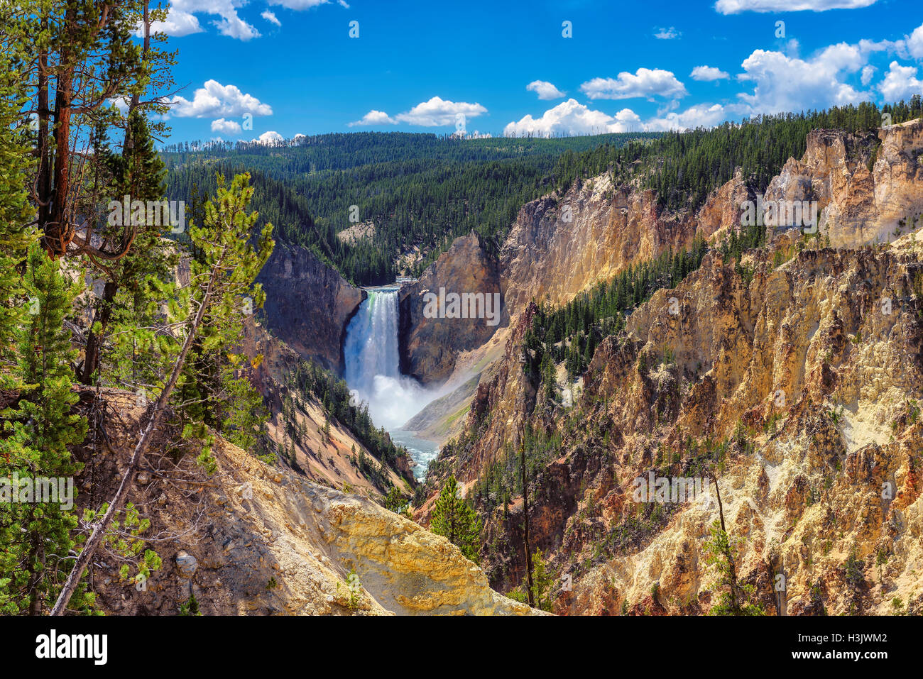 El parque nacional de Yellowstone, Lower Falls, Wyoming, Estados Unidos de América Foto de stock
