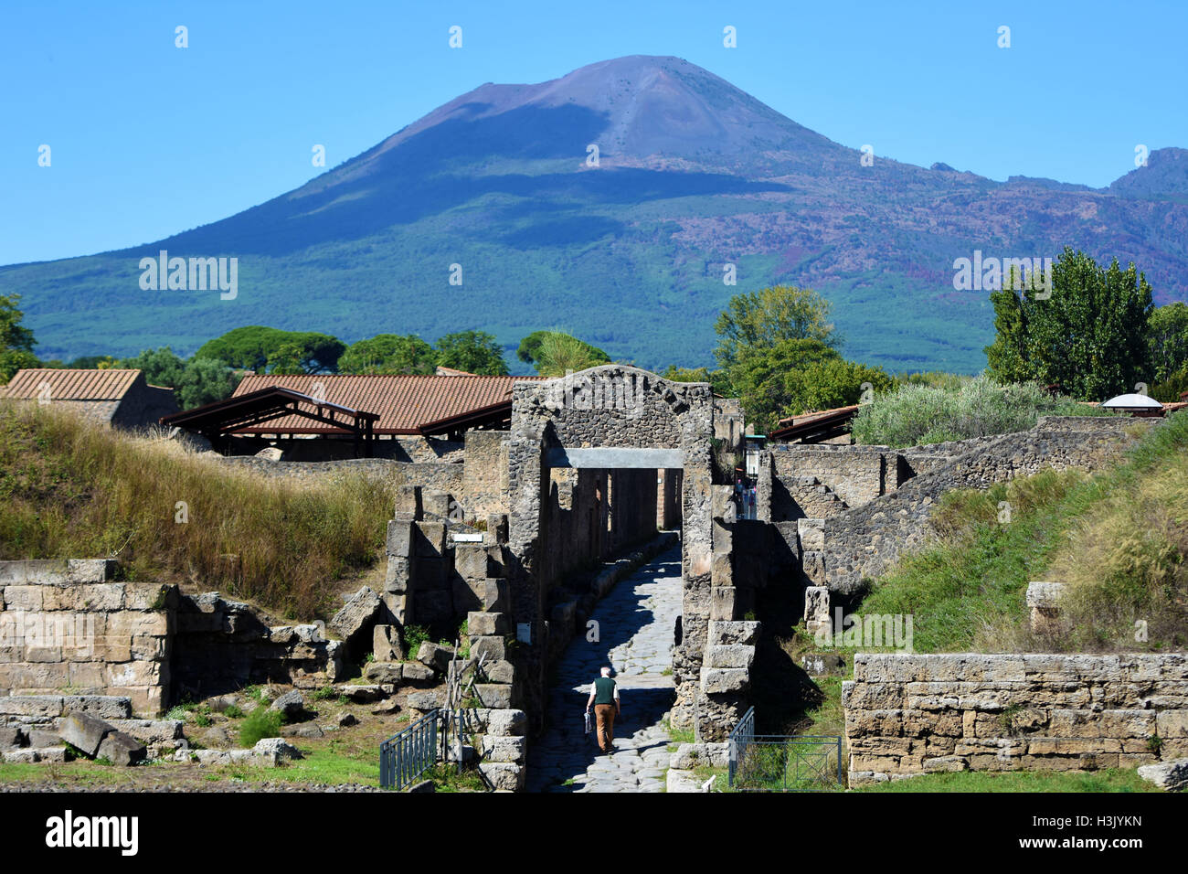 Monte Vesubio y las ruinas romanas, los organismos y los frescos de Pompeya, Italia. Foto de stock