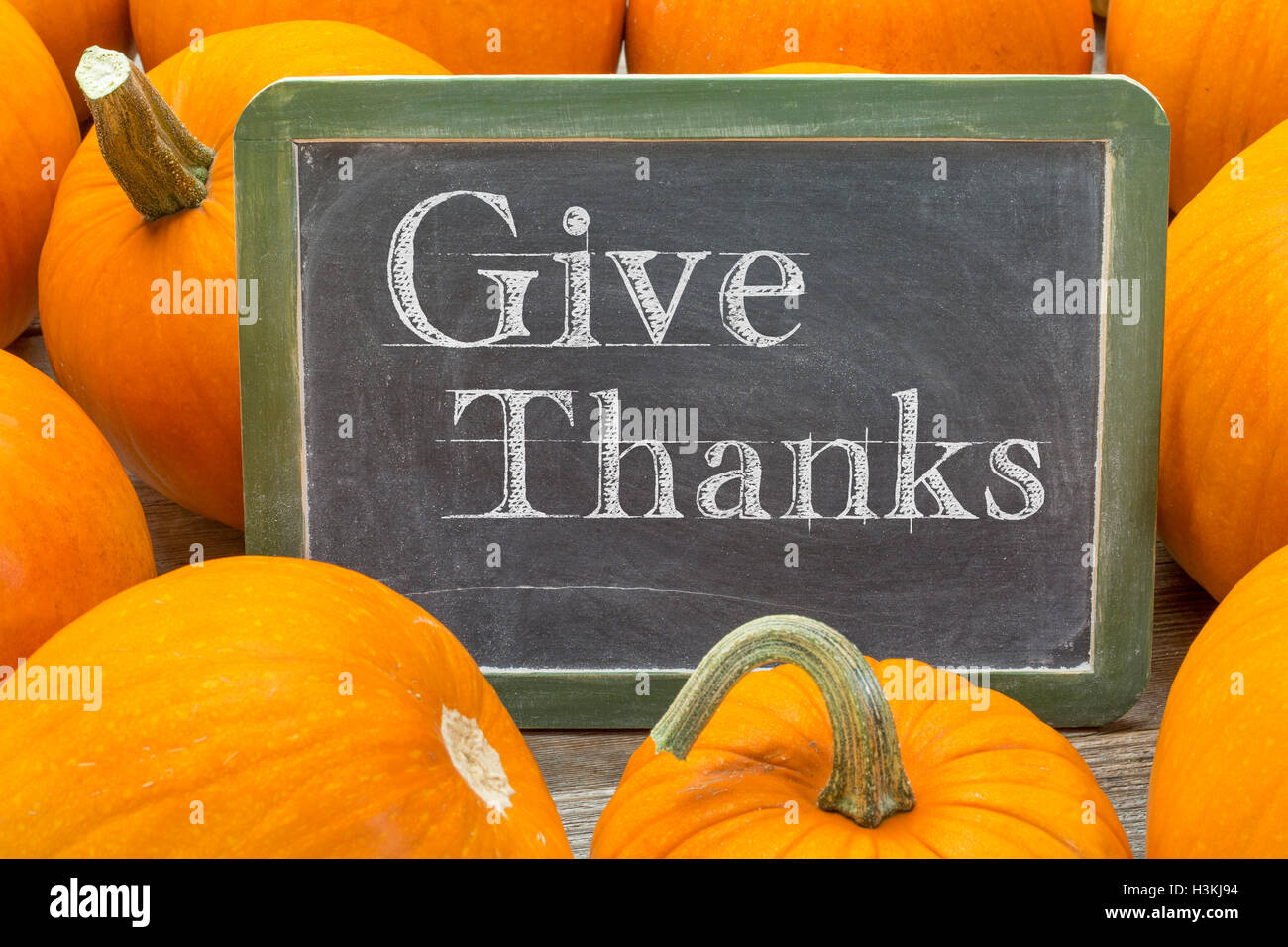 Dar gracias el Día de Acción de Gracias - Concepto - palabras de tiza en una pizarra blanca rodeada de calabazas Foto de stock
