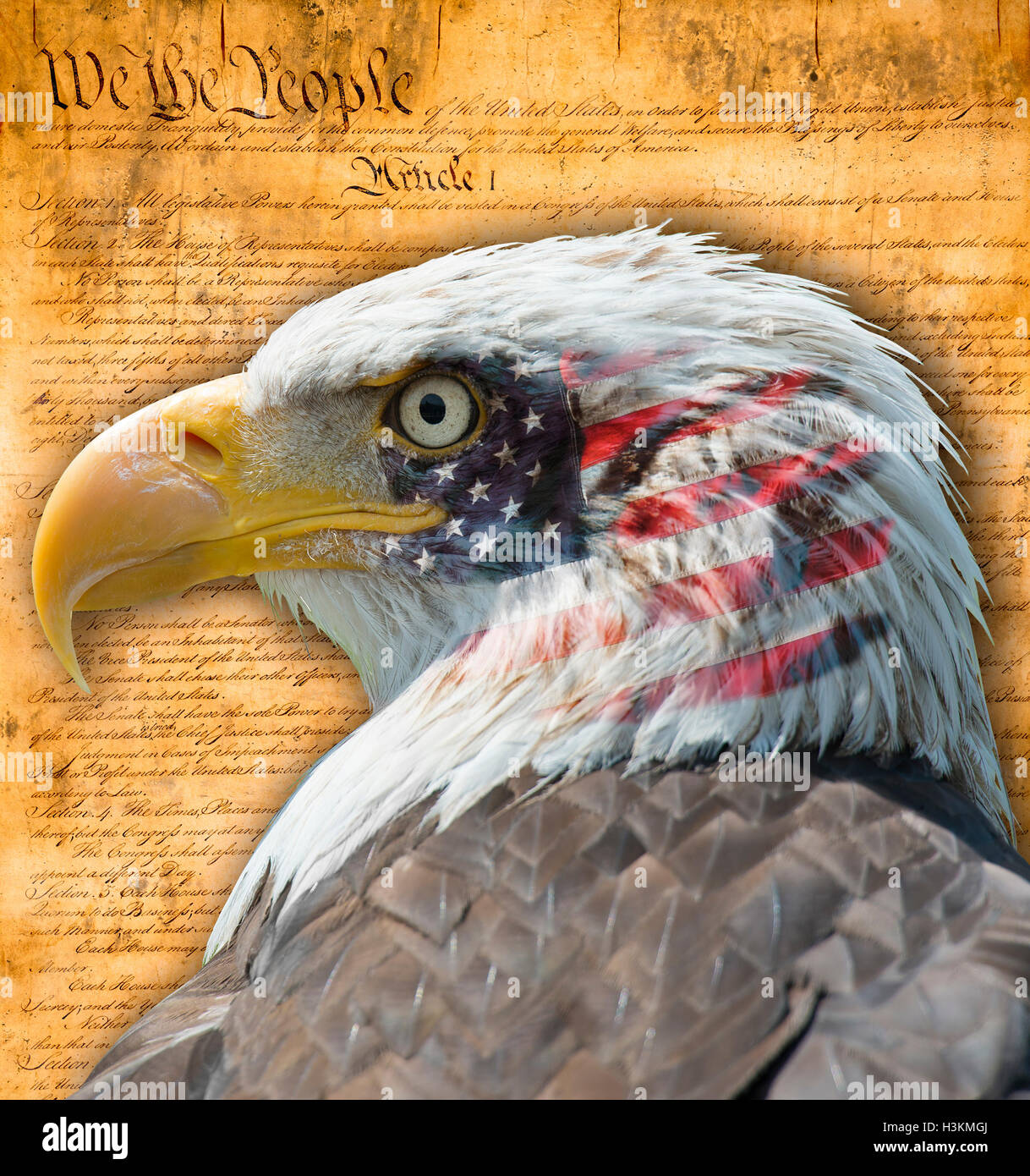 Bandera Americana con el águila calva y algunos documentos históricos Foto de stock