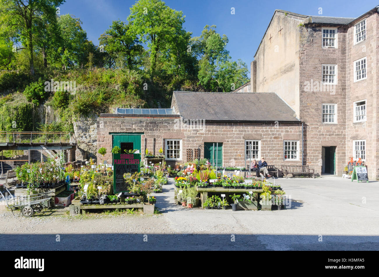 Plantas para la venta en Cromford Mills cerca de Matlock en Derbyshire Foto de stock