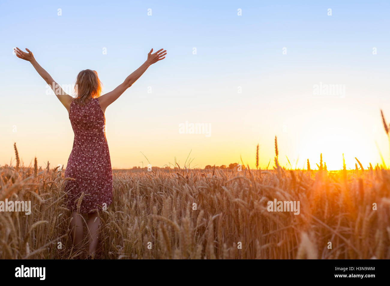 Feliz positiva mujer llena de vitalidad, levantando las manos y mirando al sol en un campo de trigo al amanecer. Foto de stock