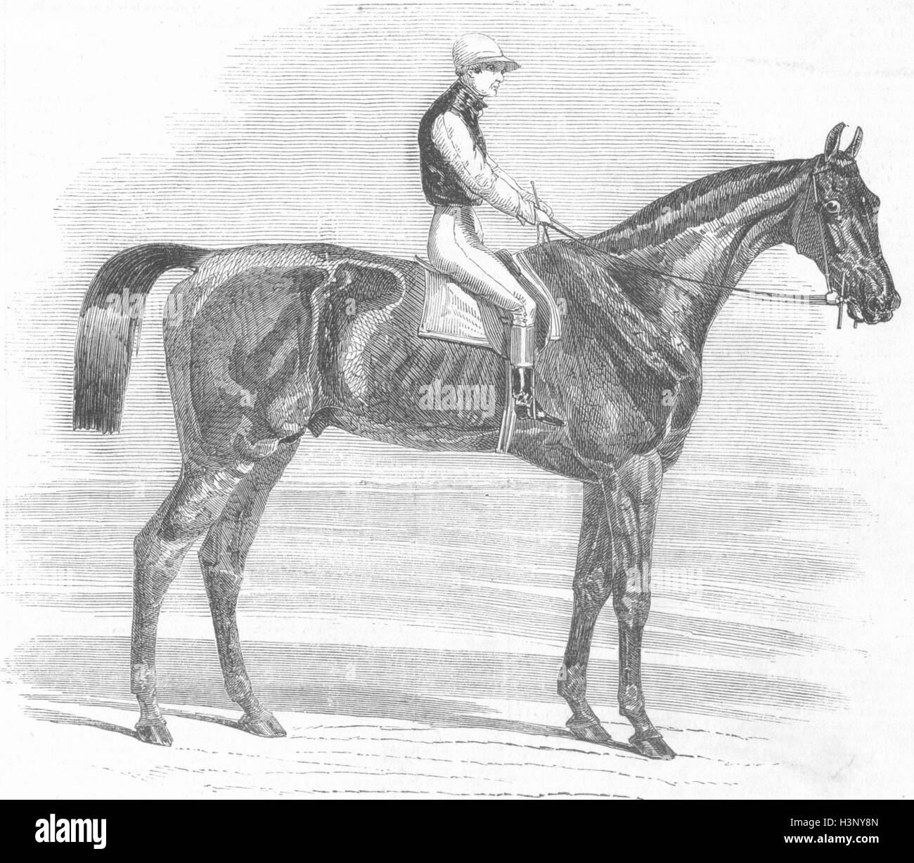 NEWMARKET stakes Cesarewitch Weathergage, ganador de 1852. Illustrated London News Foto de stock