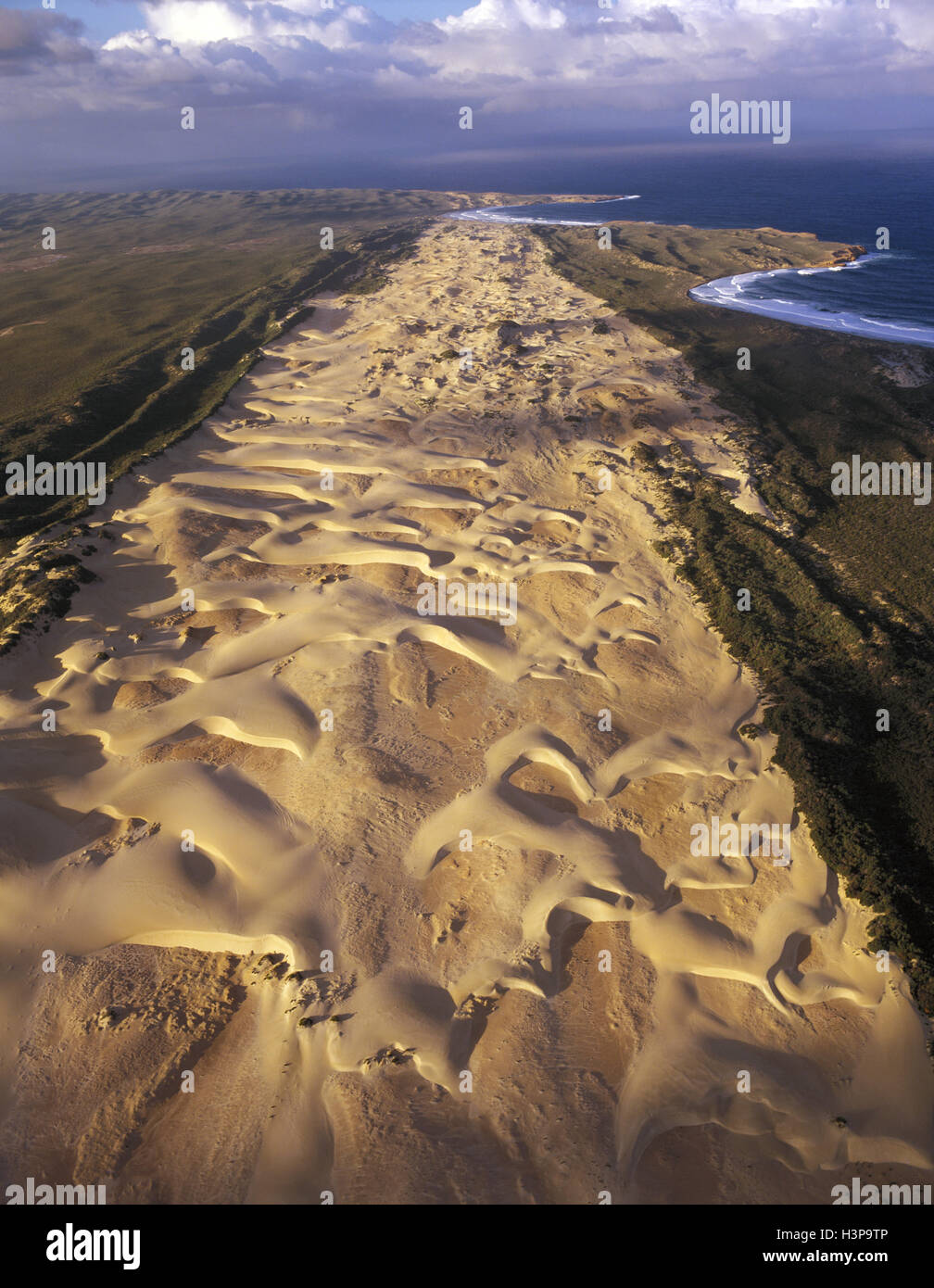 Puntas Bellefin dunas de arena. Foto de stock