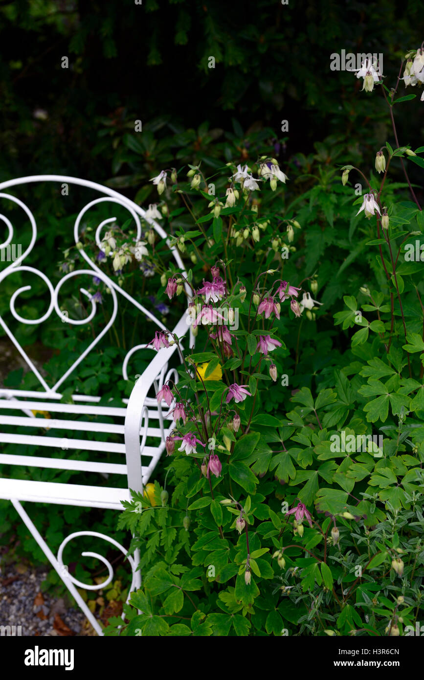 Flores blancas rosadas fotografías e imágenes de alta resolución - Alamy