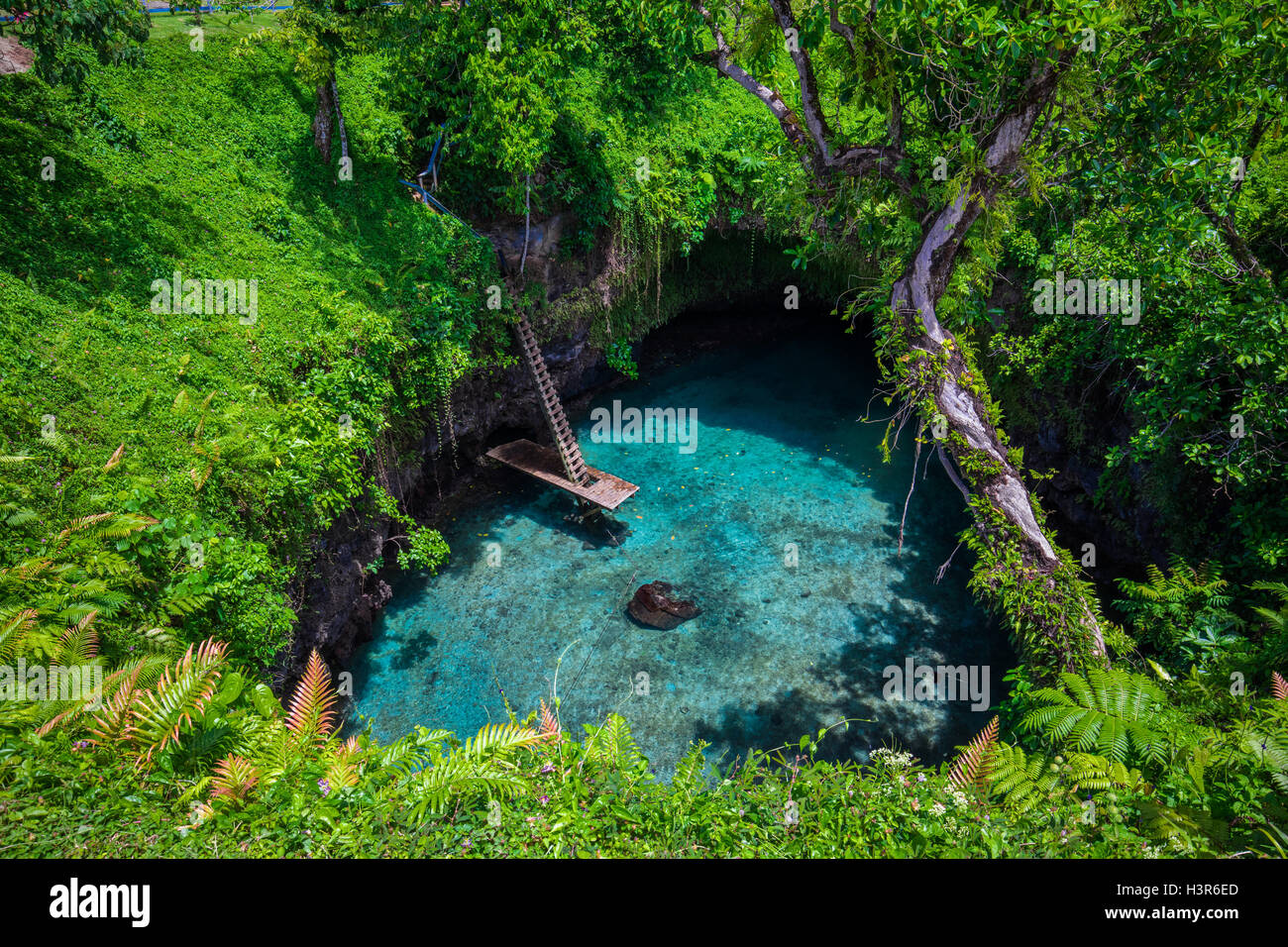 A Sua zanja oceánica - famoso natación Agujero, Upolu, Samoa, Pacífico Sur Foto de stock