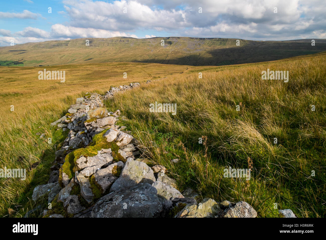 Típico paisaje de Yorkshire Dales Mallerstang Foto de stock