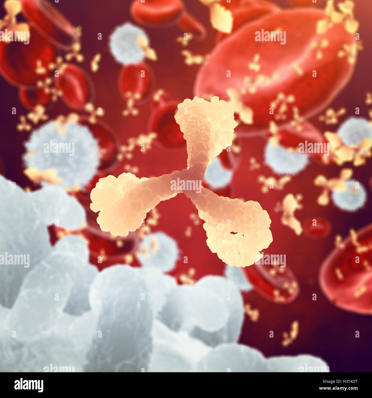 Los anticuerpos y glóbulos blancos y rojos , inmunoglobulina y células plasmáticas , enfermedades infecciosas , sistema inmunitario Foto de stock