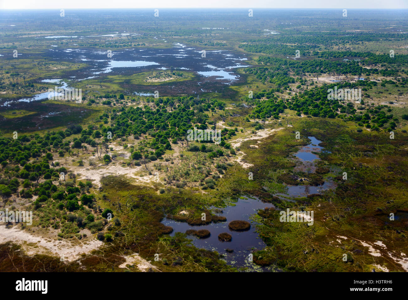 Vista Aérea, Delta del Okavango, Botswana Foto de stock