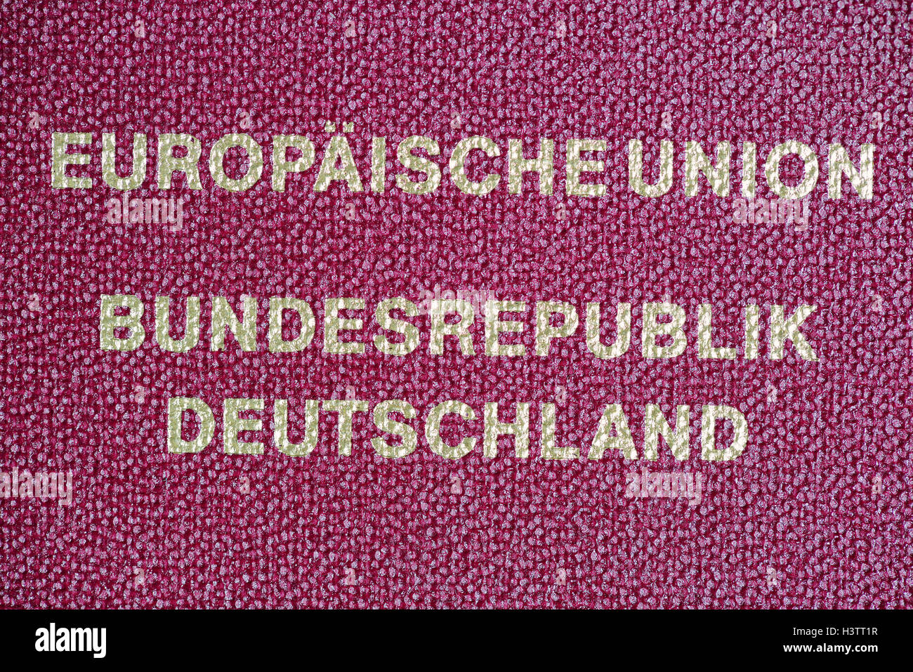 Cerca de pasaporte alemán con detalle la Unión Europea Foto de stock