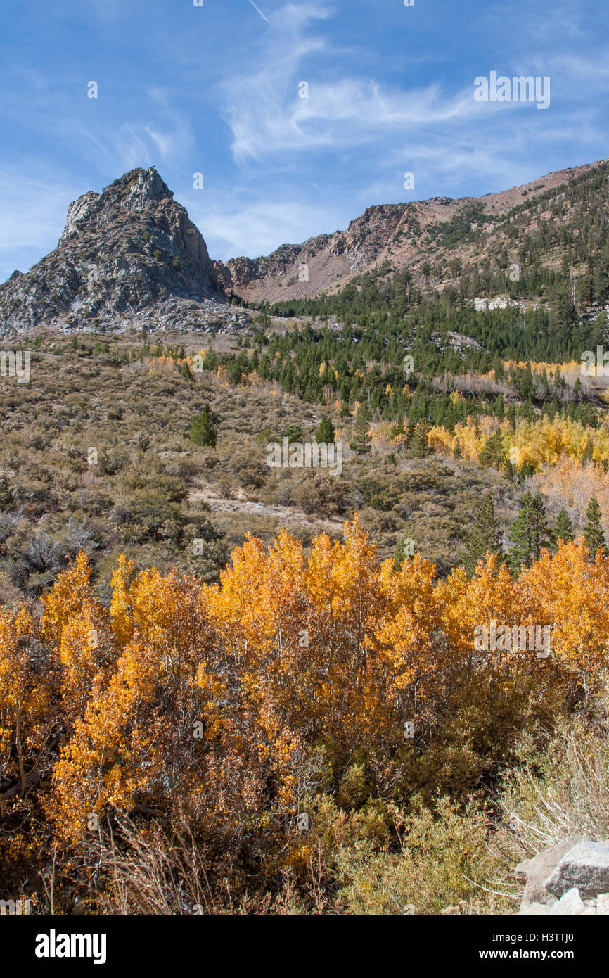 Colores de otoño en el lado este de Las Sierras, subiendo por Tioga Pass cerca de Lee Vining y el Lago Mono en California. Foto de stock