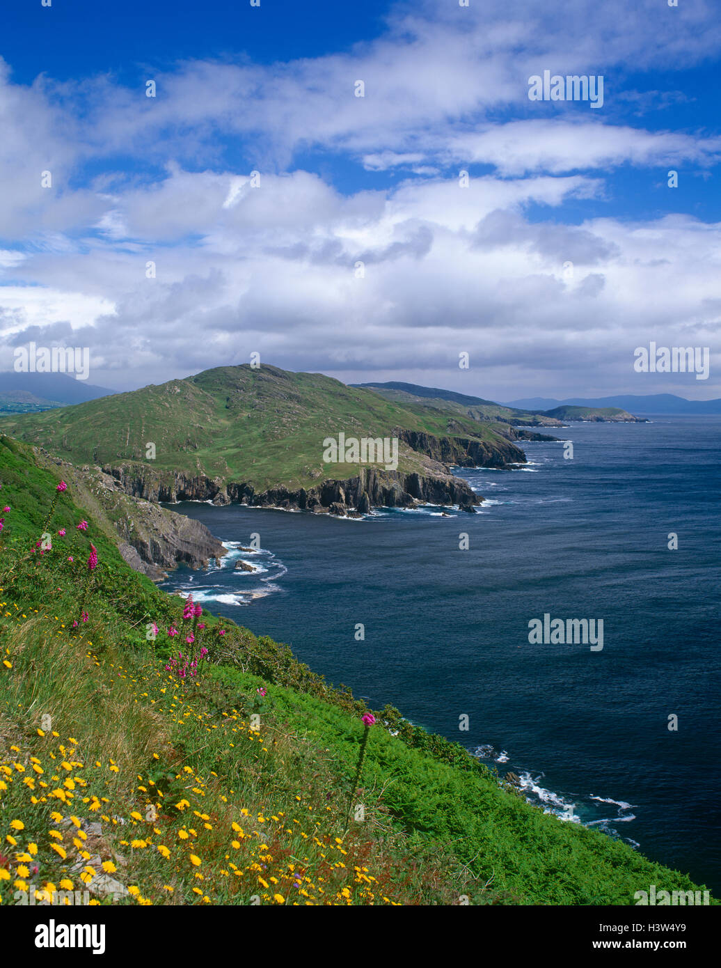 La Bahía de Bantry, en el condado de Cork, Irlanda Foto de stock