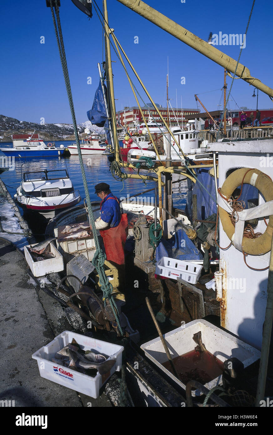 Noruega, Bodö, Puerto, pescador, capturar, editar, Europa, vistas al puerto, la pesca de arrastre, la pesca, el pescado, excluir, economía Foto de stock