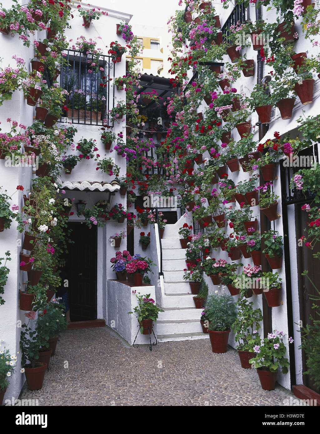 España, Andalucía, Córdoba, casa residencial, detalle, patio interior,  flores, Europa Südwesteuropa, Península Ibérica, el Reino de España, el  patio, la decoración floral, geranios, flores, plantas Fotografía de stock  - Alamy