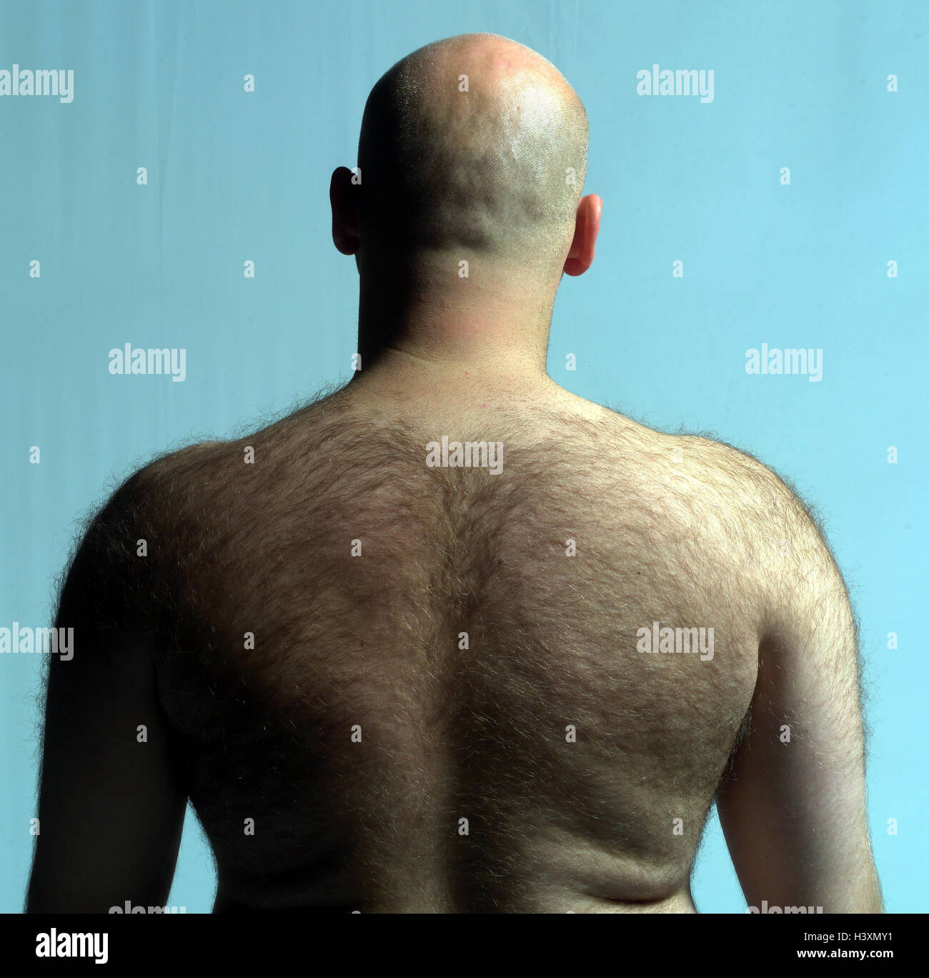 Hombre, calva, parte superior del cuerpo libremente, pelos, hombre, 30-40  años, los hombros, la espalda, el vello crece pelos, pelos, pelo, fuerte,  varonil, vista posterior Fotografía de stock - Alamy