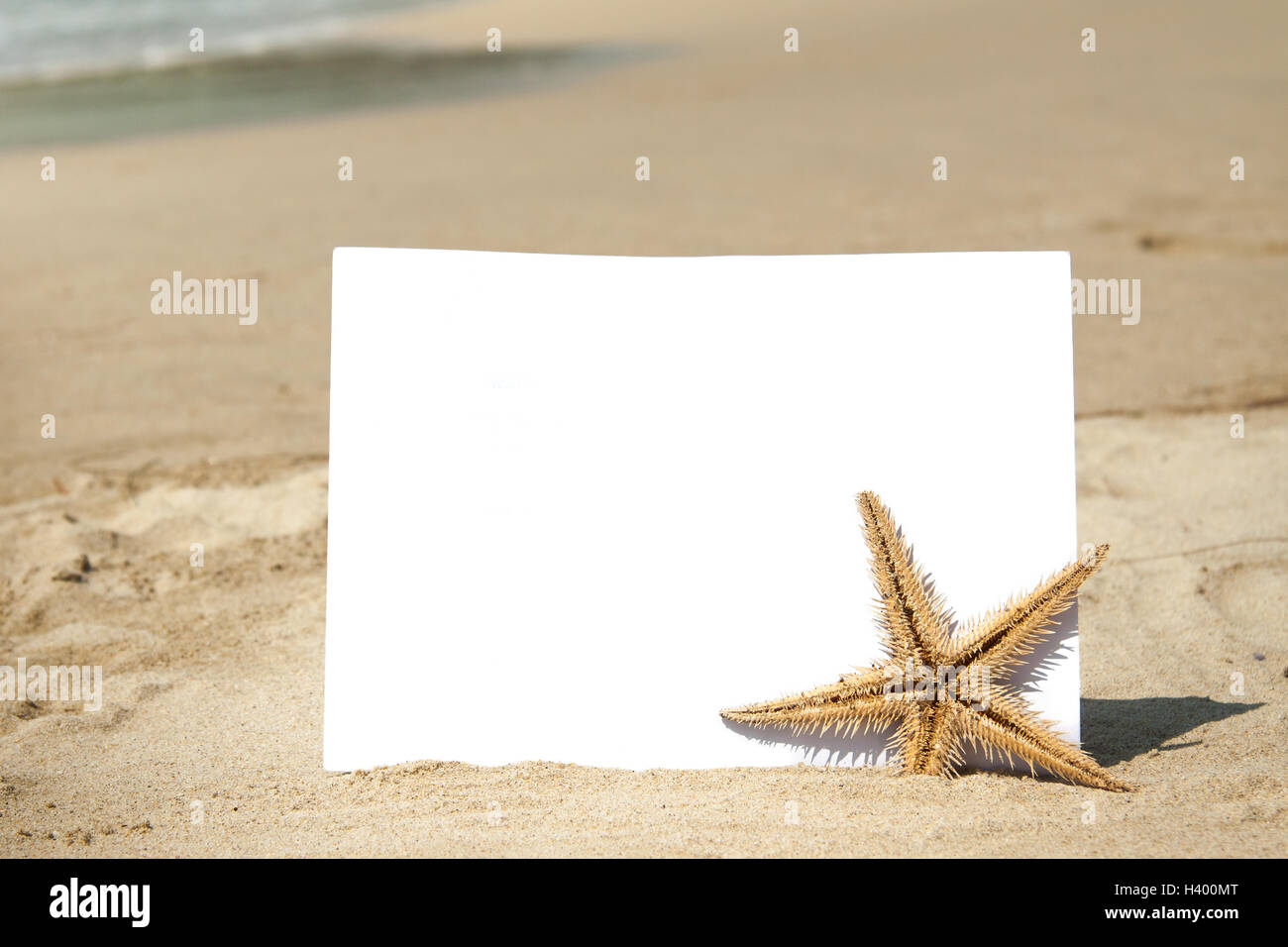 Trozo de papel en blanco y estrellas de mar en la playa de arena con antecedentes Foto de stock