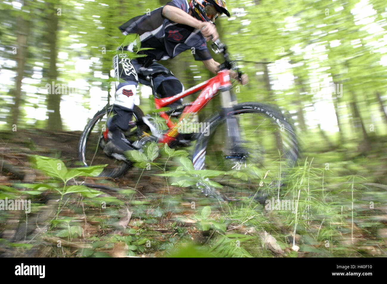 Madera, inclinación, controlador de mountain bike, Downhill, previsualizar  el camino forestal, ocio, deporte, ciclismo, afición, paseos en moto,  bicicleta de montaña, actividades de ocio, el hombre, ciclista, deportista,  carrera ciclista, Ciclista de