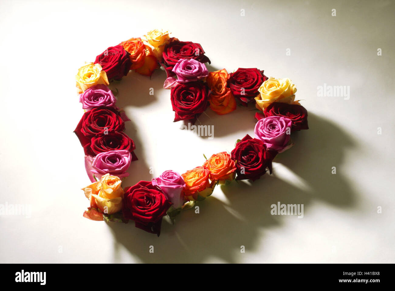 Rosa florezca, array, con forma de corazón, flores, plantas, flores, flores, flores rosas, flores, cabezas de flores, pétalos, colores diferentemente, flor rosa corazón, corazón, icono, amor, querido icono, el olor, el olor, el signo del amor, el día de la madre, Valentinstag, todavía l Foto de stock