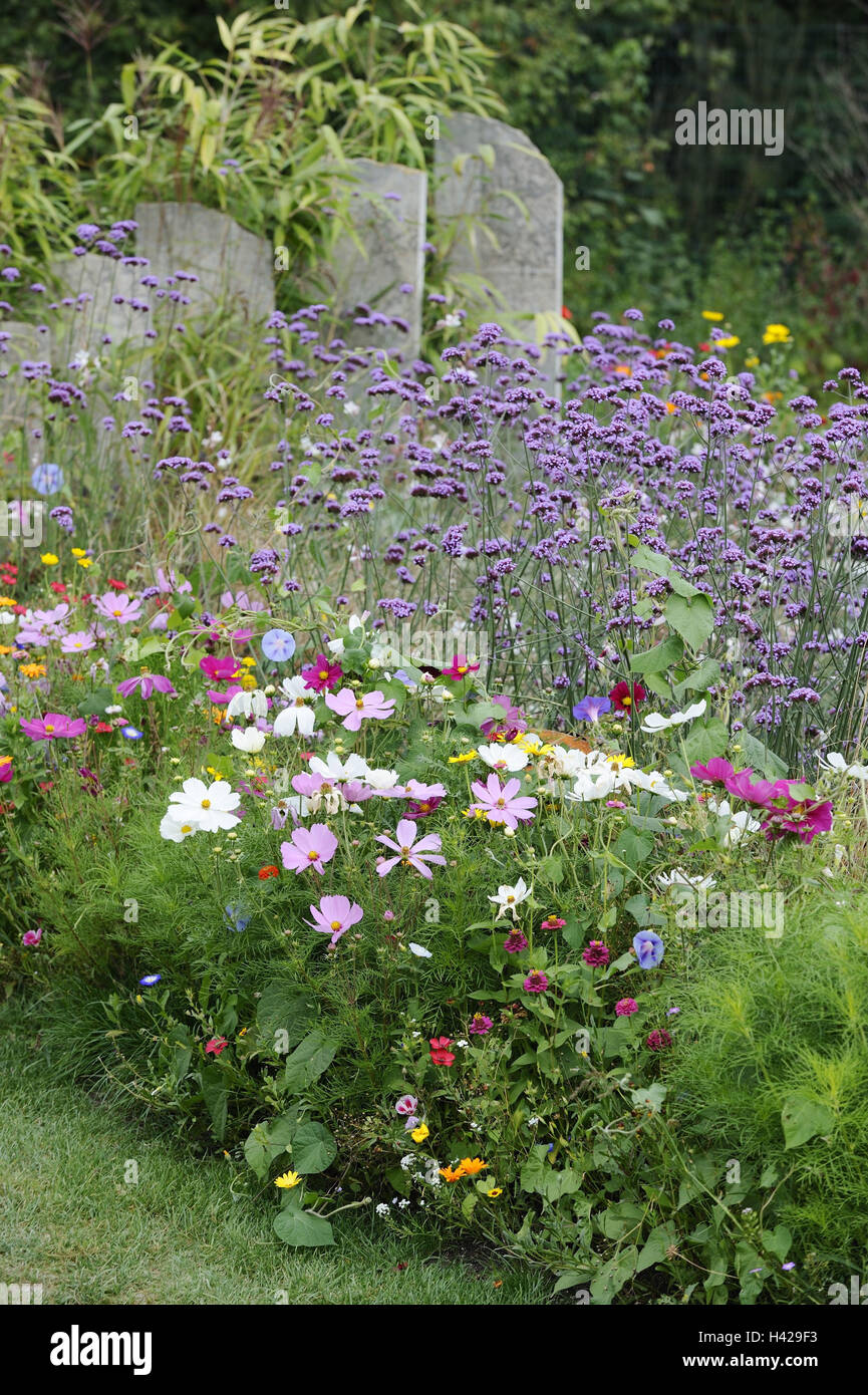 Jardín, huerto, flores de verano, Foto de stock