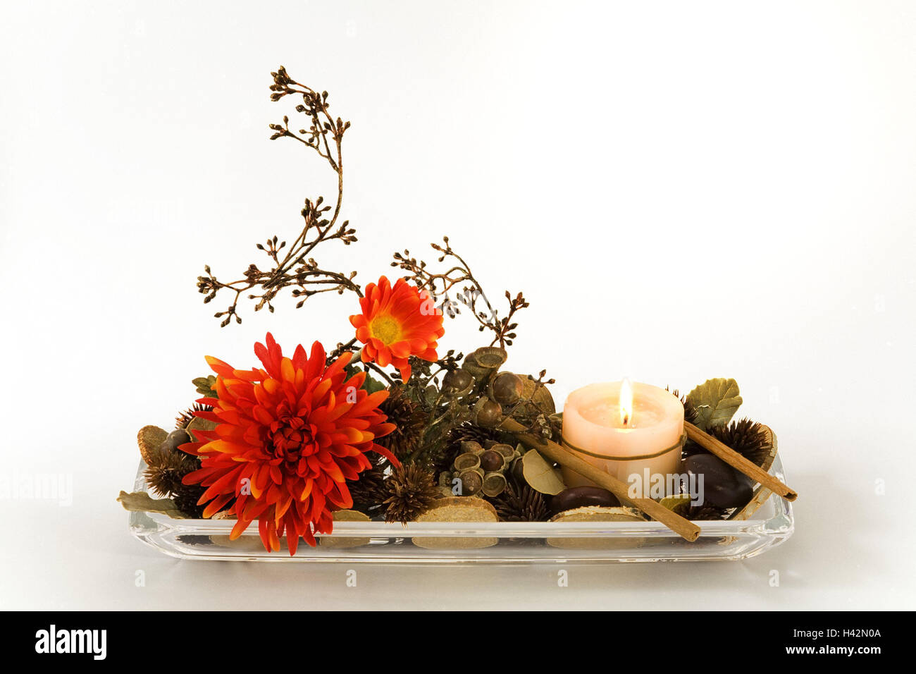 Decoración de otoño, corteza, flores, velas, arreglos florales, producto  photographys, otoño, Advent, flores, artificialmente, palitos de canela,  castañas, paneles de madera, vidrio peel, quemar velas, arreglos florales,  arreglos, arreglo de otoño, studio,