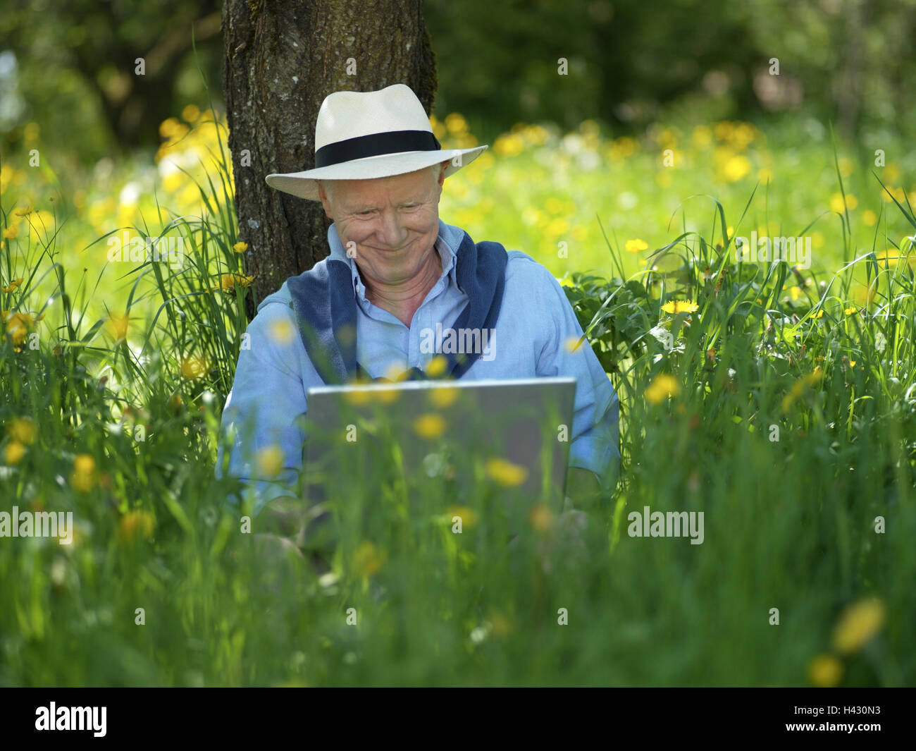 Senior, feliz, portátil, jardín, mitad retrato, Summers, tiempo de ocio, vacaciones, jubilación, pensión, afición, la recreación, el descanso, la persona de edad, tercera edad, 60-70 años, feliz contently, ágil, activa, Jung-restante, interés, abiertamente, tecnología, informática Foto de stock