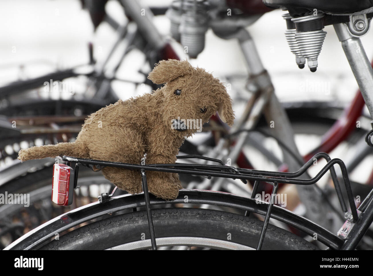 Peluche, bicicletas, pannier rack, luz trasera, neumáticos, sillín,  close-up, detalle Fotografía de stock - Alamy