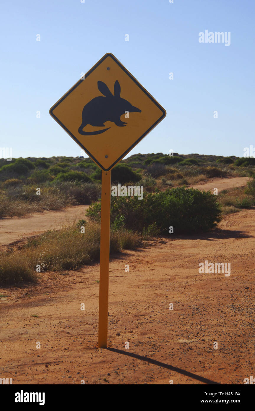 Australia, firmar, marsupial, Ripa, Foto de stock