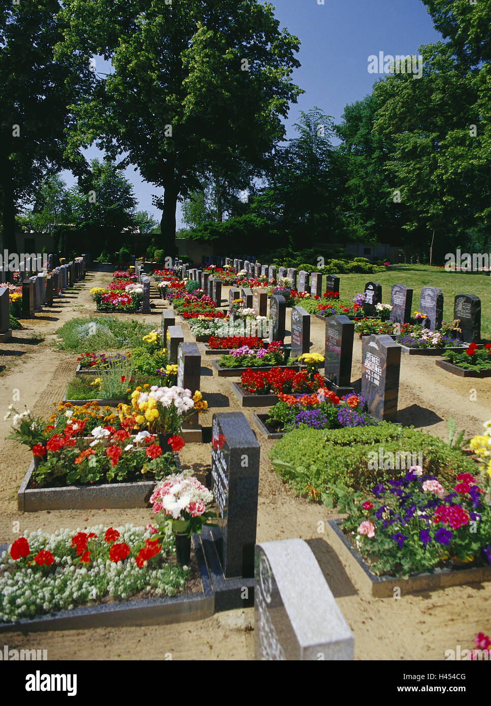 Planta de cementerio fotografías e imágenes de alta resolución - Alamy