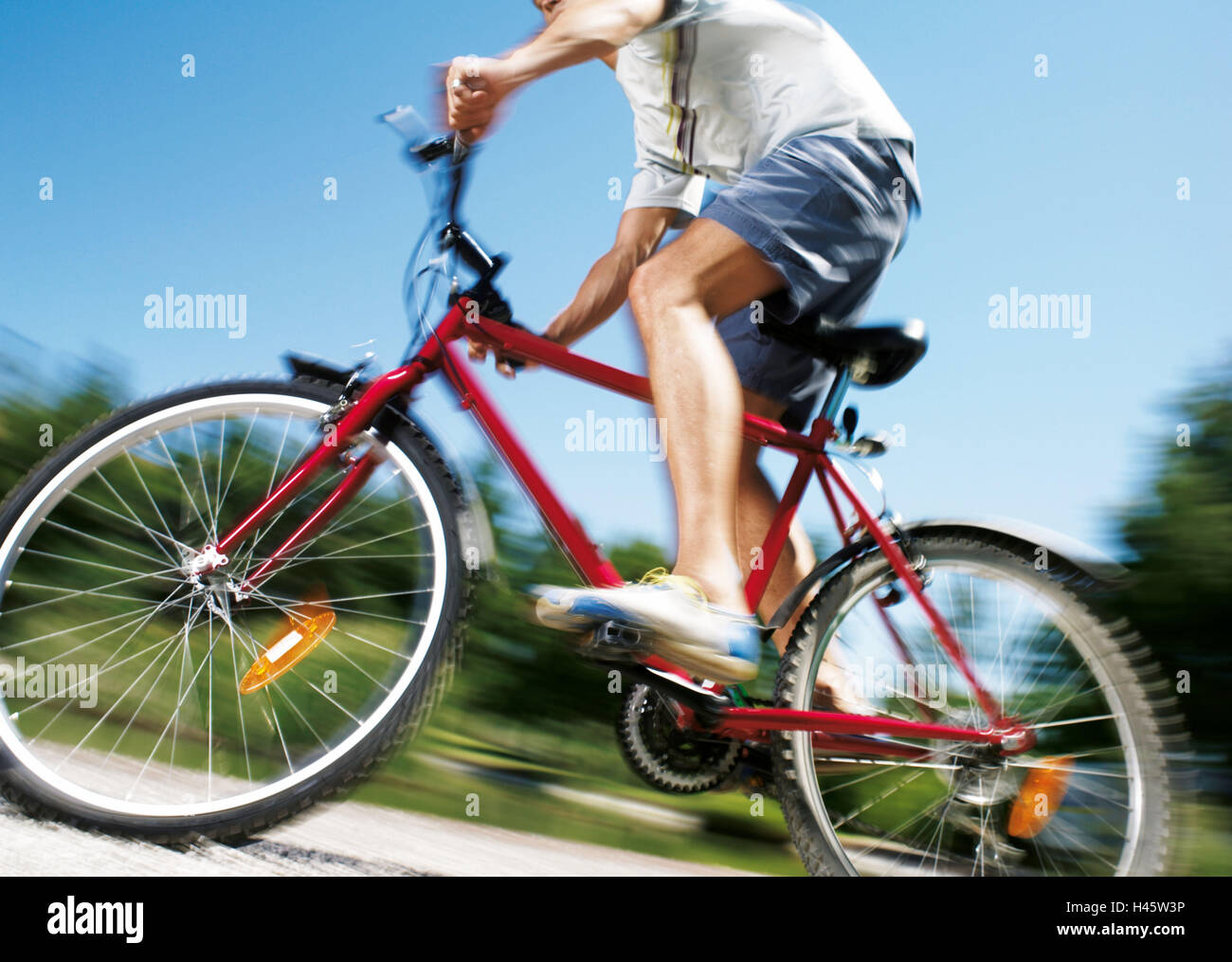 Los ciclistas de montaña, ir cuesta arriba, detalle, persona, hombre,  deporte, bicicleta, tour, camino, cepa, ciclista, stand, deporte, ocio,  tiempo libre, naturaleza, salud, fitness, verano, árboles, el sol, los  árboles, ayudado a