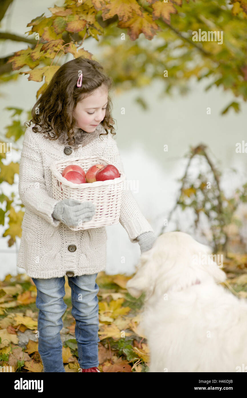 La pequeña niña se alimenta de un perro en Apple, Foto de stock