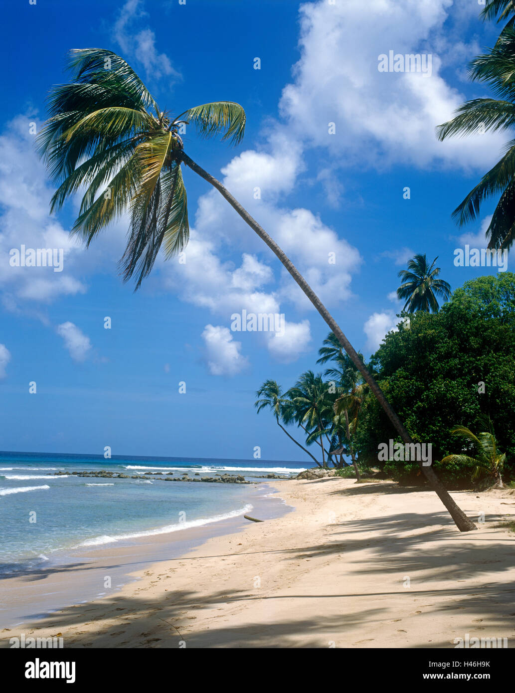 Playa de Gibbs, Mullins Bay, Barbados Caribe Foto de stock