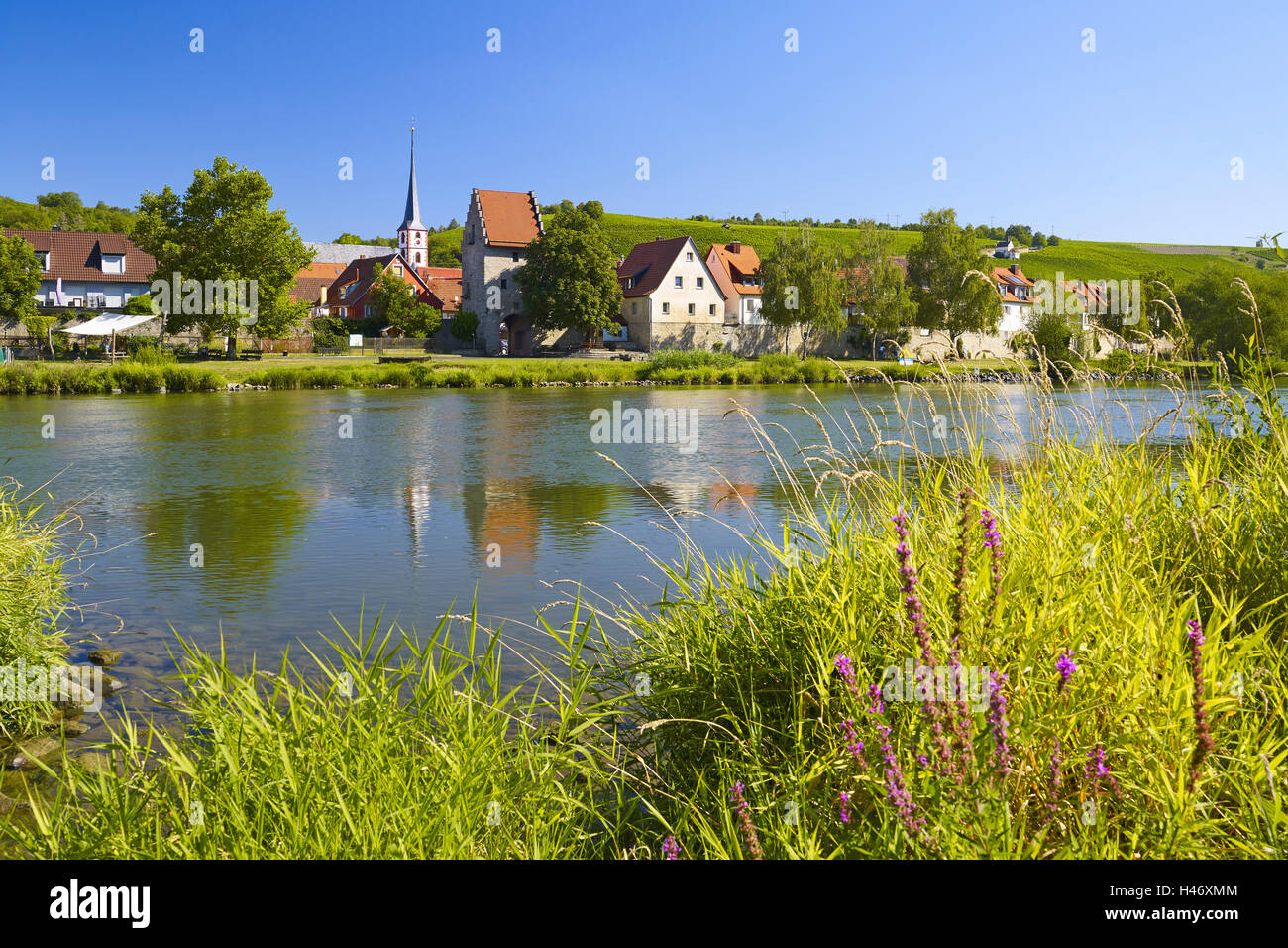 Frickenhausen am Main, Baviera, Alemania Foto de stock