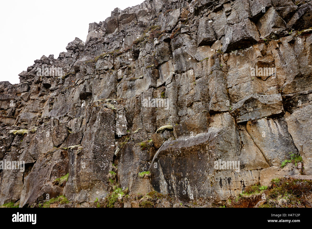 Pared de roca de lava en fisuras en las placas continentales en el Parque Nacional Thingvellir Islandia Foto de stock