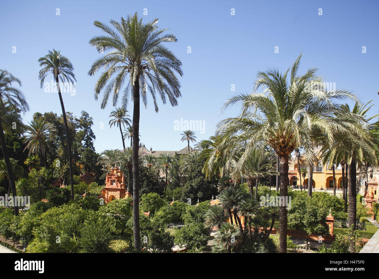 España, Andalucía, Sevilla, el palacio del rey Alcazar, Foto de stock