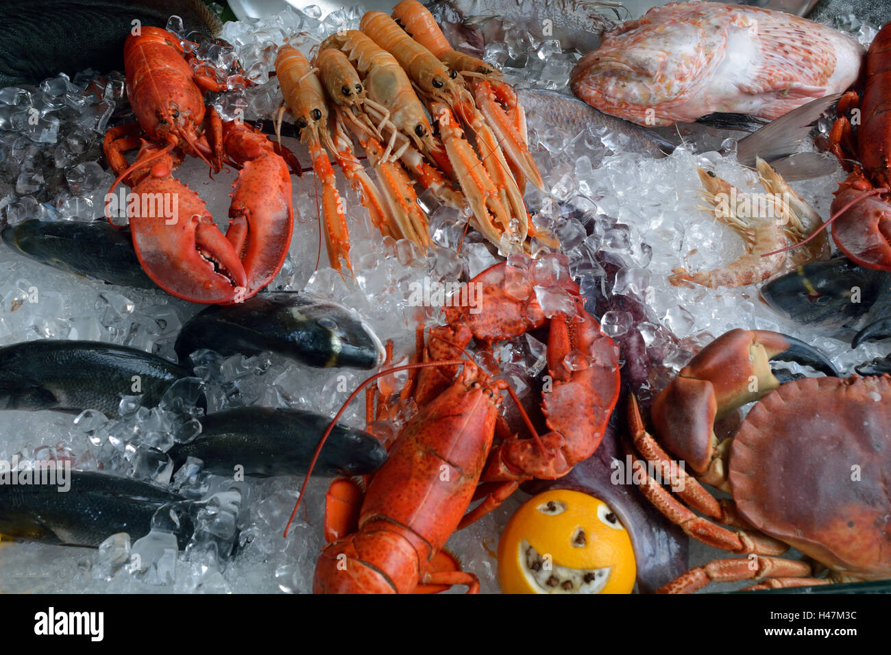 Mariscos del Mar Adriático en un mercado de pescado en el puente de Rialto de Venecia en Italia. Foto de stock