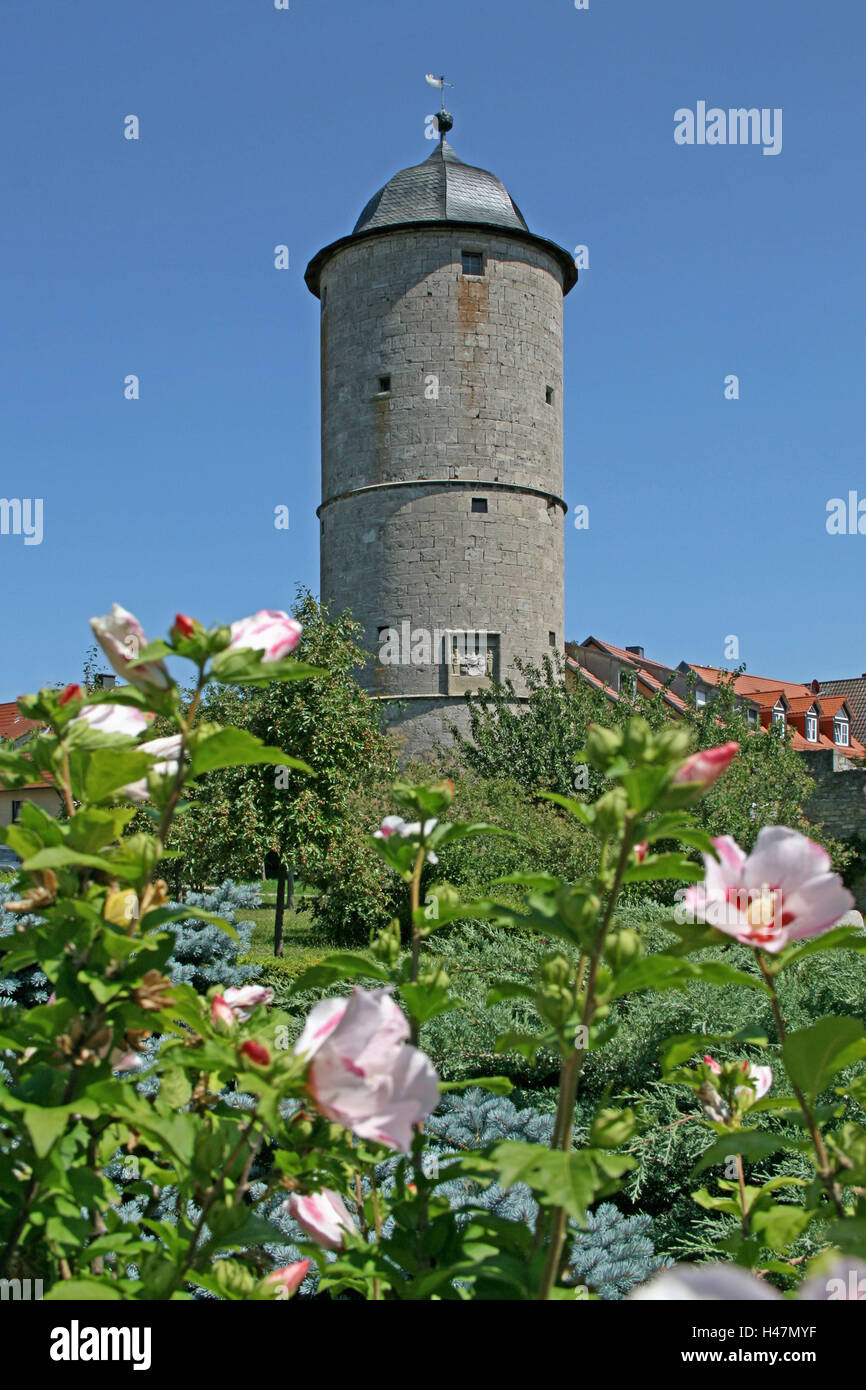 Alemania, Baviera, Kere Eibelstadt, torre, en 1573, vigilante, bodega, plana mazmorra medieval, la fortificación de la ciudad, torre, vigilante, fuera de plano, el cielo azul, Foto de stock